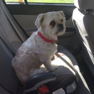 Meet your Posher, Darlene